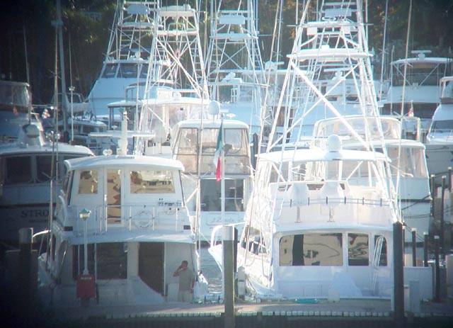 Fishing boats with tuna towers