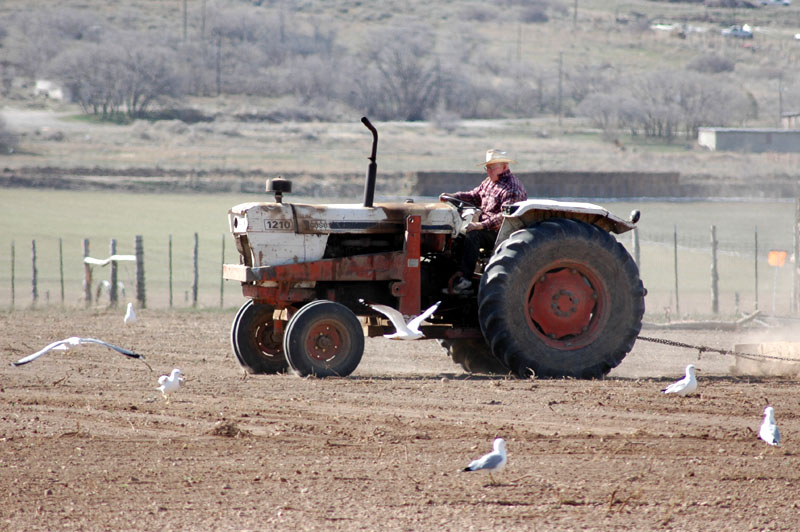 Farming2812.jpg