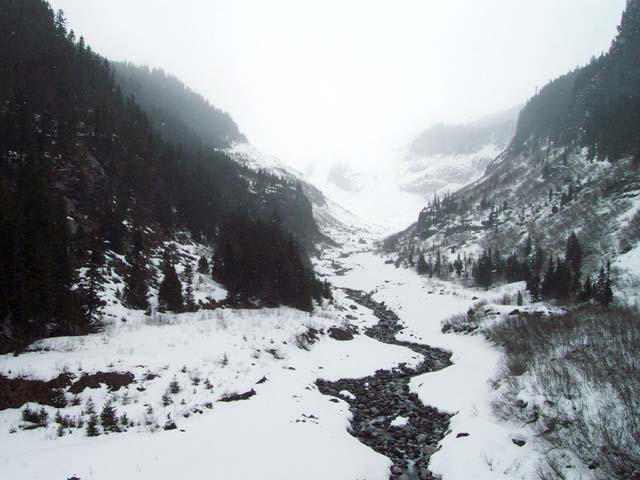 Nisqually Glacier