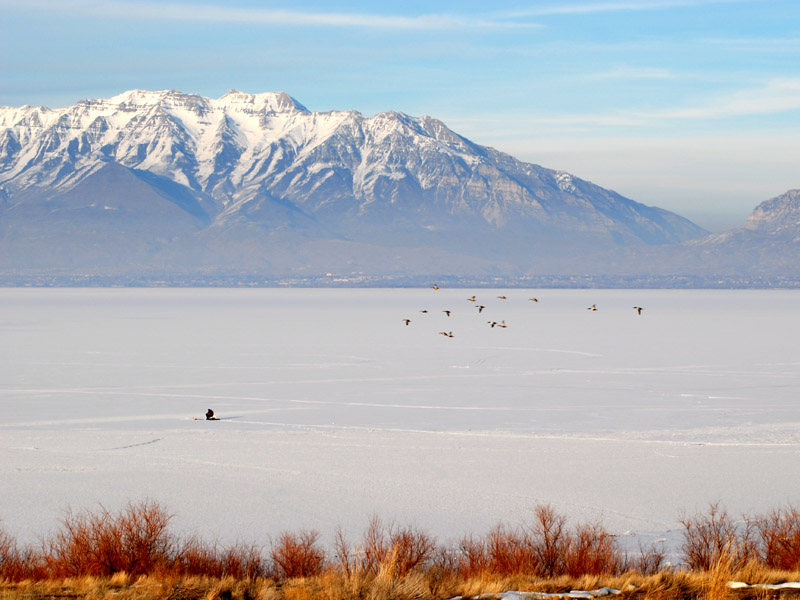 UtahLakeIce1154.jpg