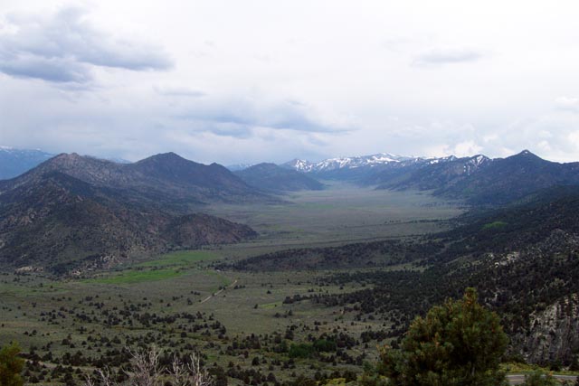 Carpeted alluvial fan