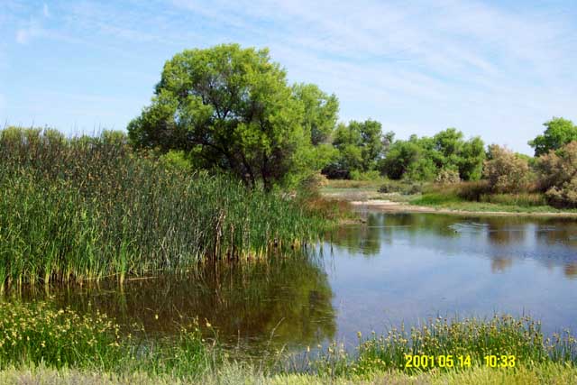 Kern National Wildlife Refuge